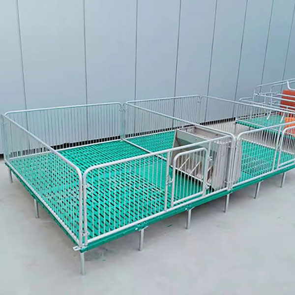 保育床漏粪板多少钱