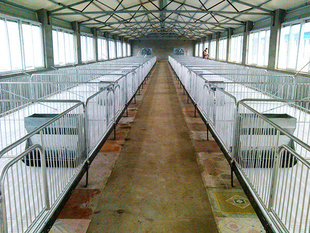 料塔厂家教你如何选养猪设备